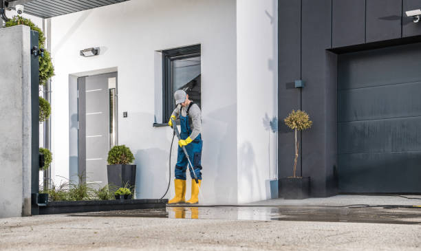 Best Boat and Dock Cleaning  in Albion, NY